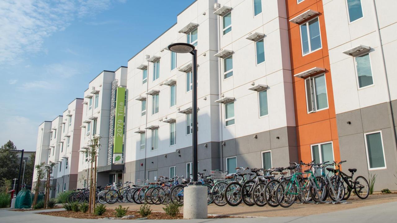 The Green at West Village Design and Construction Management